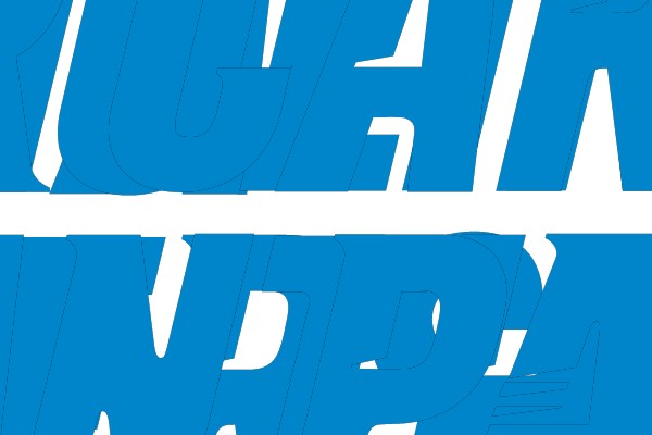 Carolina Panthers