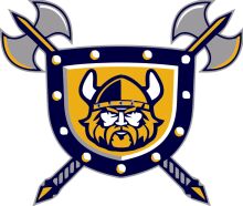 Viking Shield Emblem with Yellow and Blue Design