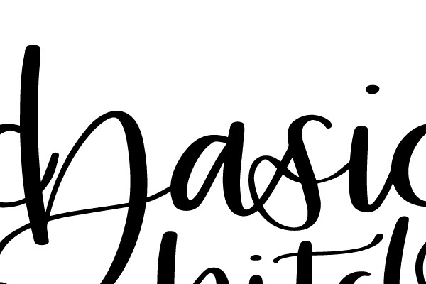 Basic Bitch