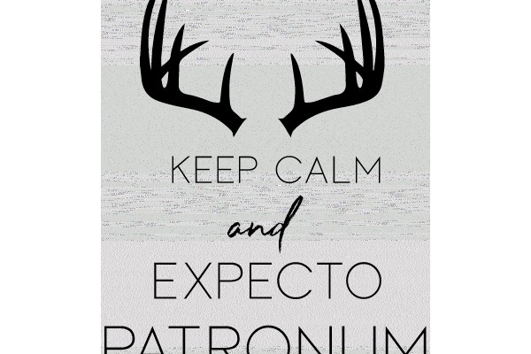 Stay Calm and Expecto Patronum