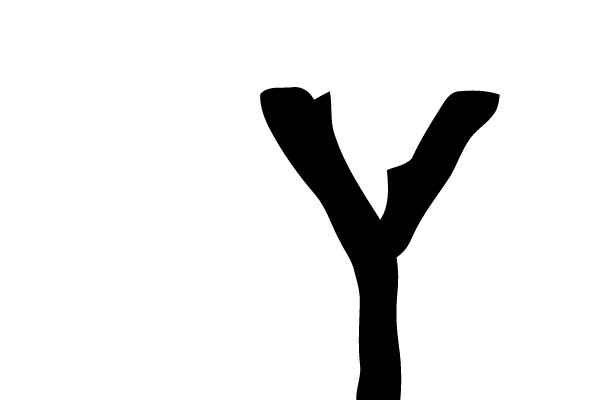 Y