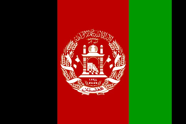 Vibrant Flag with a Symbol of Unity