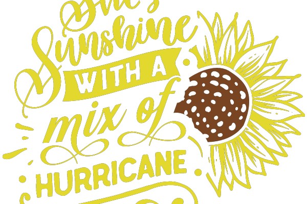 She's Sunshine with a Mix of Hurricane: A Playful Tribute to the Sunshine State's Unpredictable Weather