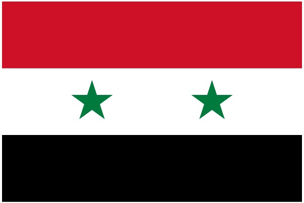Vibrant Display of National Pride: A Flag of Saudi Arabia with a Flag of Syria