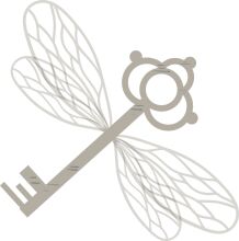 Unlocking the Mystery of the Key and the Bug