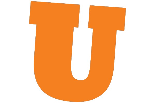 Bold Orange 