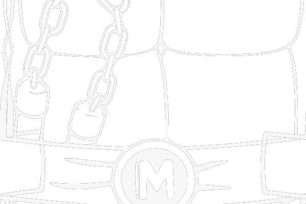 Turtle with Chain and Belt with 'M'
