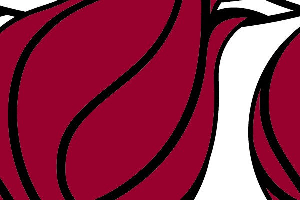 Miami Heat Basketball Logo