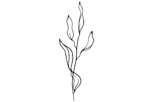 Elegant Abstract Art: A Simple Line Drawing of a Plant-like Form