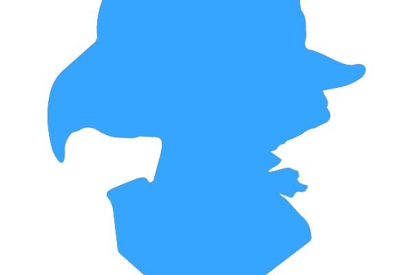 Silhouette of a Character in a Wide-Rimmed Hat