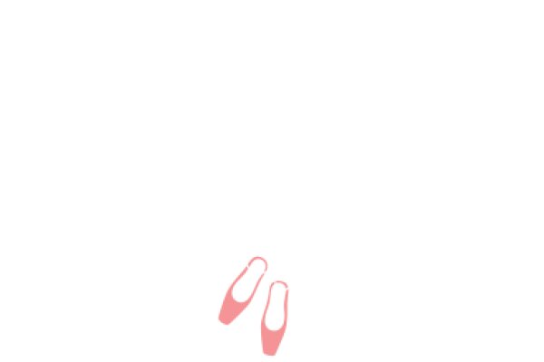 A Pair of Pink Ballet Flats
