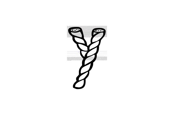 Entwined Vines