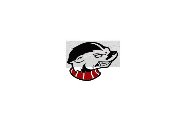 Ferocious Wolf Mascot