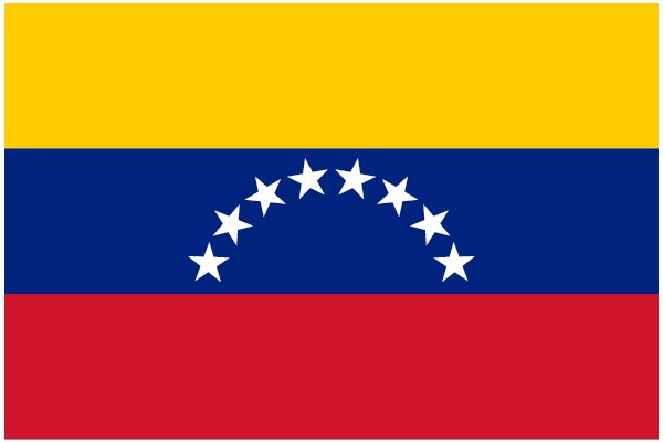 Venezuelan Flag with Artificial Intelligence Symbolism