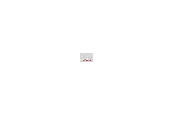 Roblox Logo