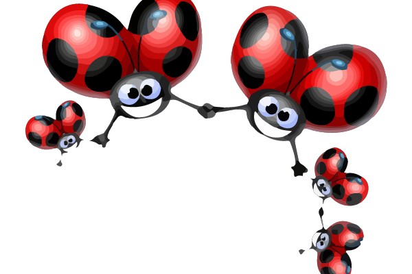 Happy Ladybugs: A Family's Journey Together