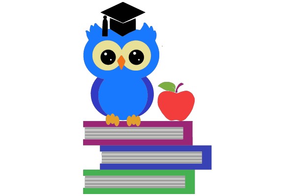 Owleducation: The Wise Owl's Educational Journey