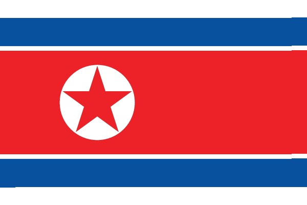 Vibrant Red and Blue Flag with a White Star