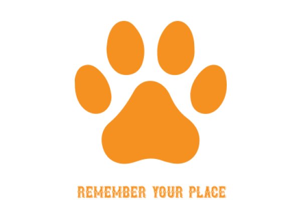 Remember Your Place: A Guide to Understanding the Hierarchy of the Animal Kingdom