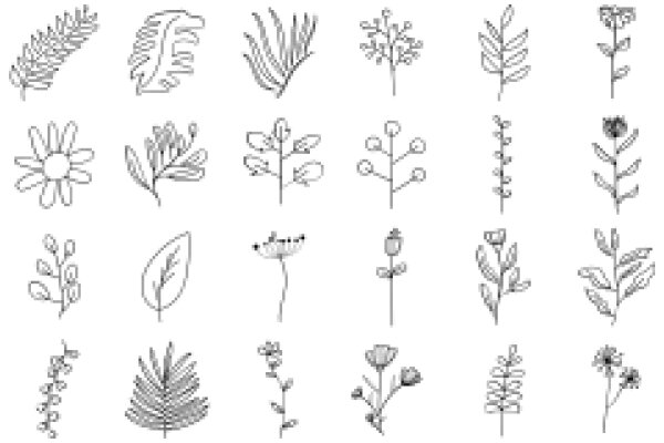 A Collection of Botanical Illustrations