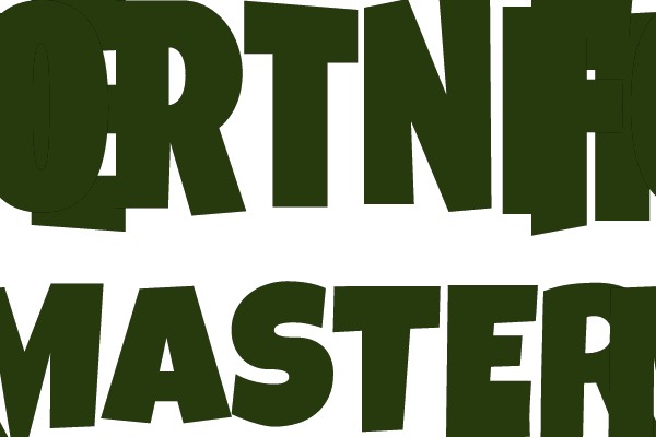 FORTNITE MASTER