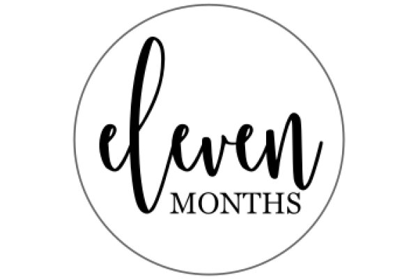 Eleven Months: A Graphic Design Showcase