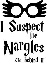 A Playful Blend of Wizardry and Modernity: The Nargles' I Suspect the Nargles Are Behind It