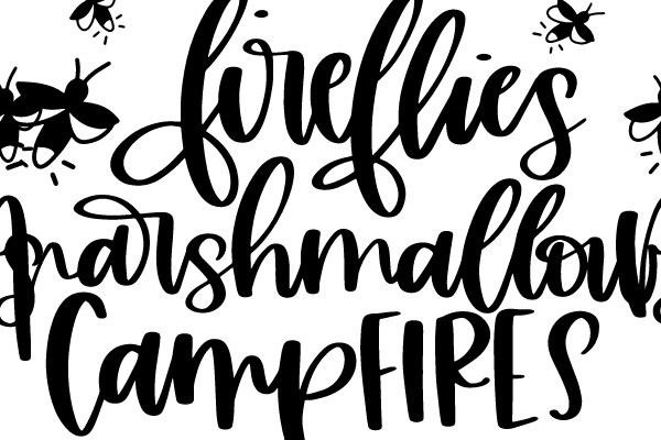 Summer Campfire Fun