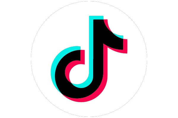 TikTok Icon