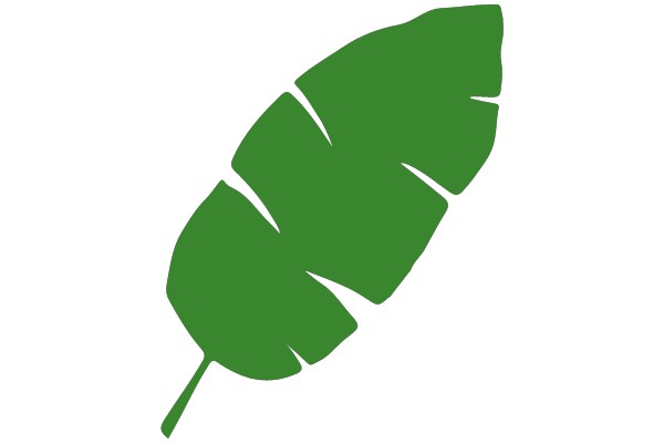Green Banana Leaf