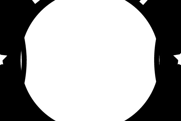 Detroit Lions Logo