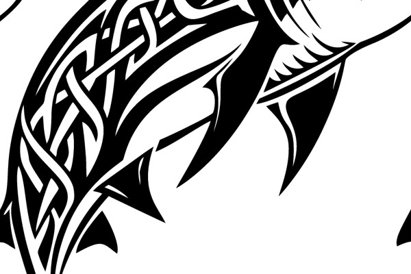 Stylized Shark Design