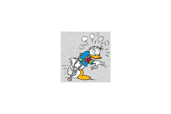Donald Duck's Misadventure