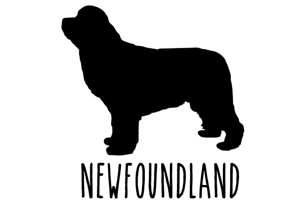 Newfoundland