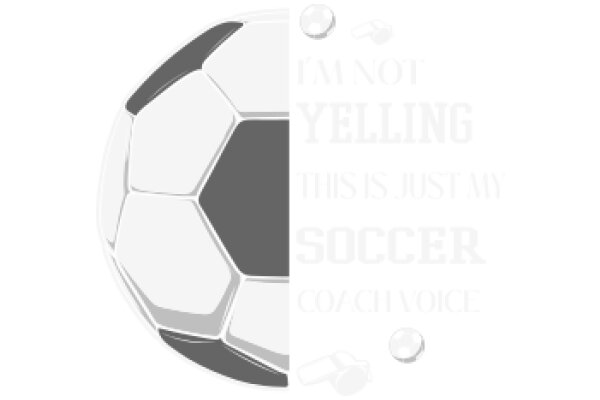 A Soccer Ball and a Coach's Voice: A Story of Passion and Perseverance