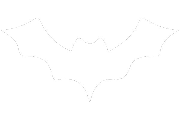 Silhouette of a Bat