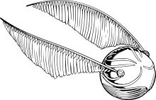 Stylized Illustration of a Feather and a Ball with a Stem