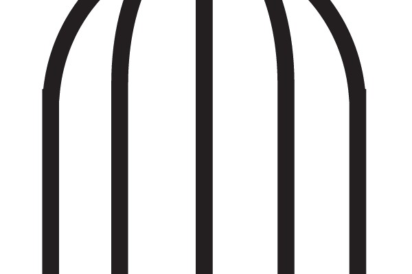 Birdcage Outline