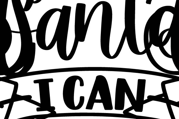 Dear Santa - I Can Explain
