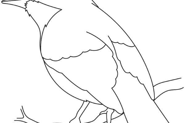 A Simple Line Drawing of a Bird Perched on a Branch