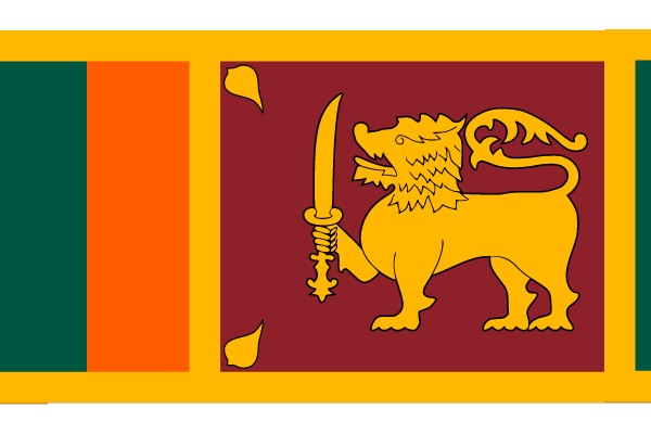 Cultural Symbolism: A Visual Exploration of a Lion and a Flag