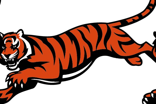 Tiger Sprinting