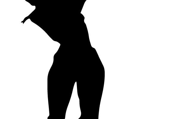 Dancer's Silhouette