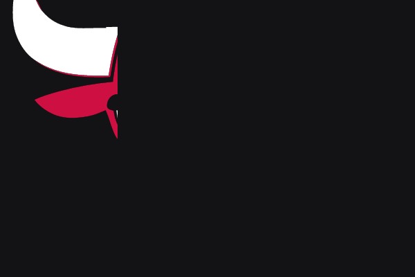 Chicago Bulls Logo
