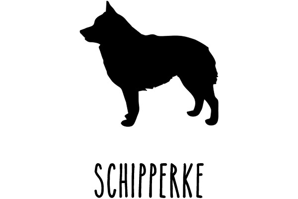Schipperke