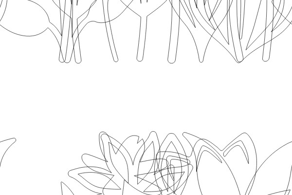 A Collection of Line Drawings of Flowers and Plants