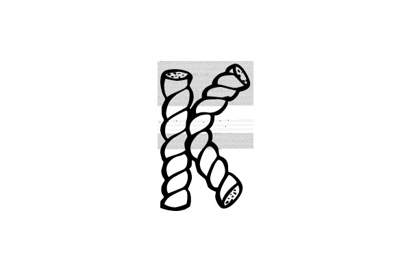 Twisted Rope with Knots
