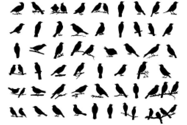 A Collection of Silhouetted Birds