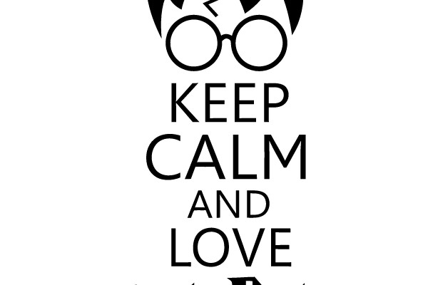 Harry Potter Keep Calm and Love