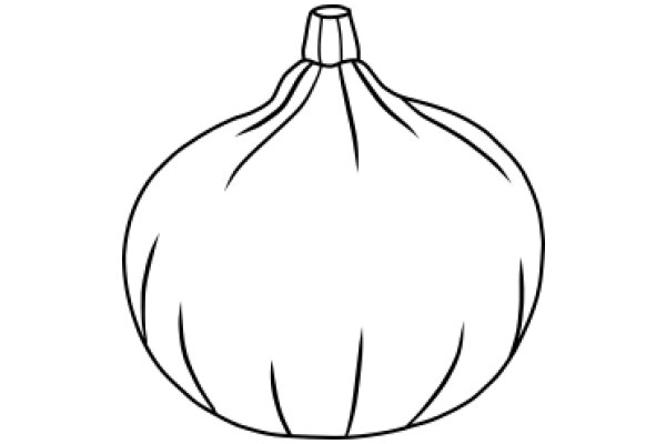 Simplistic Line Drawing of a Garlic Bulb